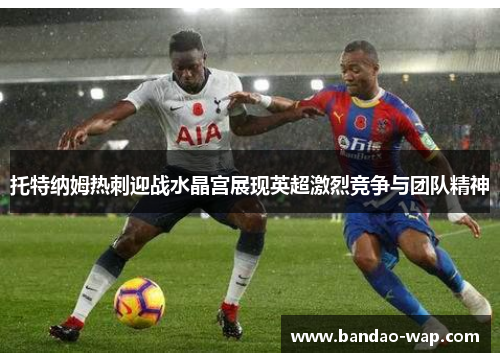 托特纳姆热刺迎战水晶宫展现英超激烈竞争与团队精神