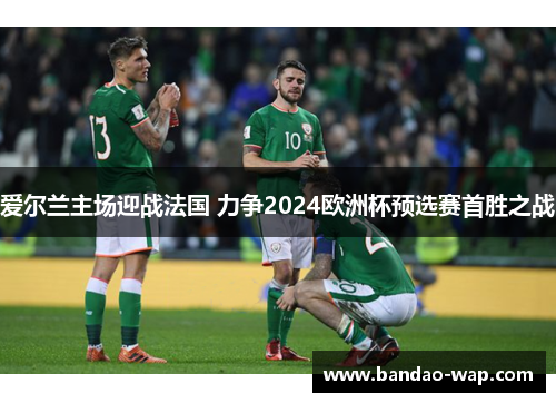 爱尔兰主场迎战法国 力争2024欧洲杯预选赛首胜之战