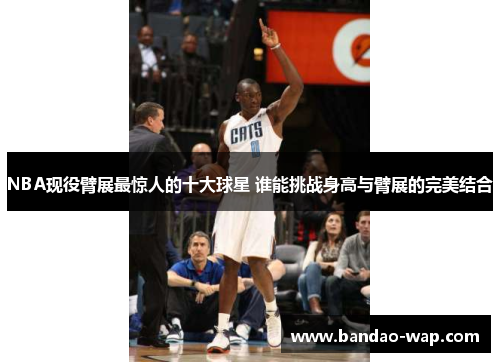 NBA现役臂展最惊人的十大球星 谁能挑战身高与臂展的完美结合