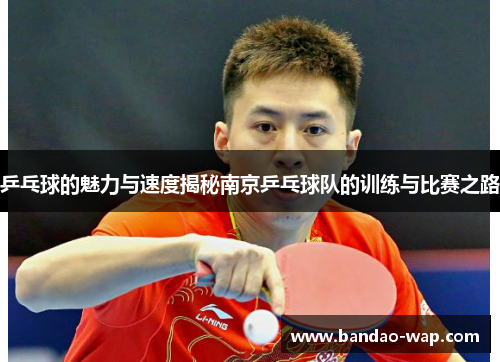 乒乓球的魅力与速度揭秘南京乒乓球队的训练与比赛之路