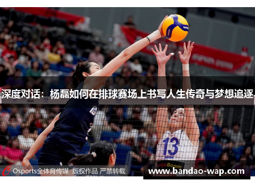 深度对话：杨磊如何在排球赛场上书写人生传奇与梦想追逐