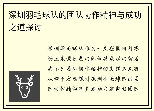 深圳羽毛球队的团队协作精神与成功之道探讨