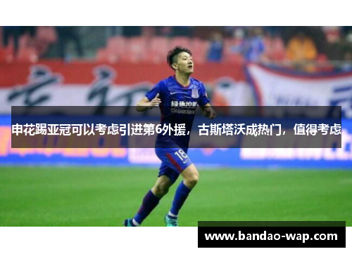 申花踢亚冠可以考虑引进第6外援，古斯塔沃成热门，值得考虑